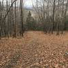 Looking down Black Mountain Ski Trail.