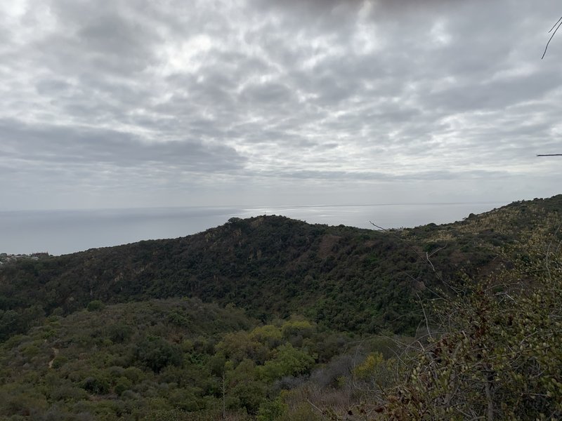 The Pacific on a fall afternoon.