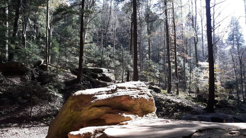 Under the recess cave. Looking up toward Pulpit Rock.