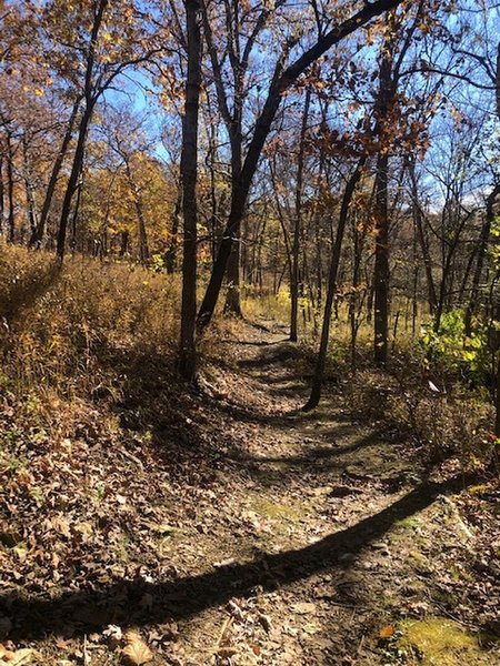 Halloween Weekend. Heavy leaf cover in areas can make for unsure footing.