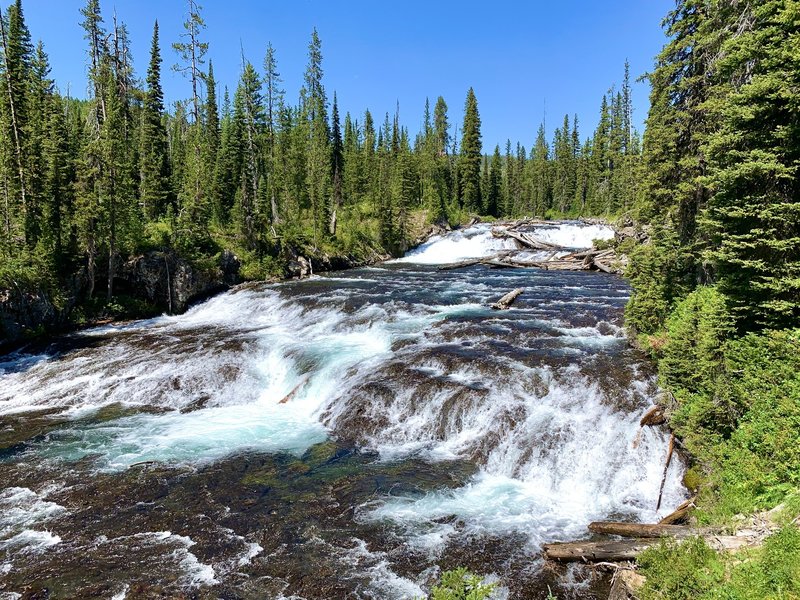 The Bechler River and its tributaries topple thousands of feet as they flow from the continental divide to the wetland meadows below. Falls and rapids are a constant as the trail winds its way down the Bechler Canyon.