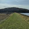 Straight grassy stretch of trail.