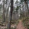 Heading up Weitzel Trail