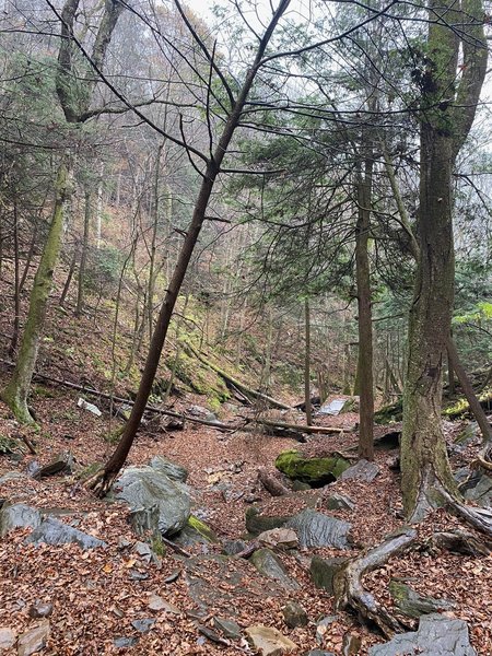 The trail to Jacoby Falls