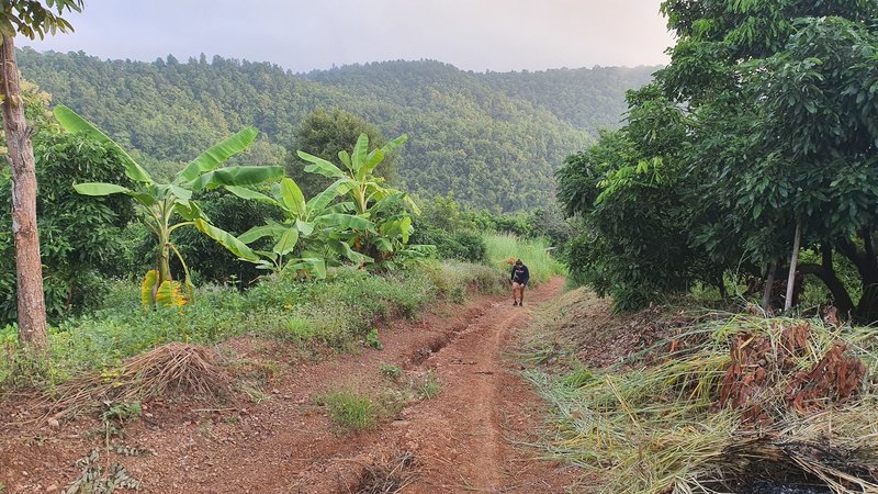 Long climb at the beginning of the trail.