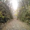 Roadbed of the Western and Atlantic Railroad at Allatoona Pass Battlefield.