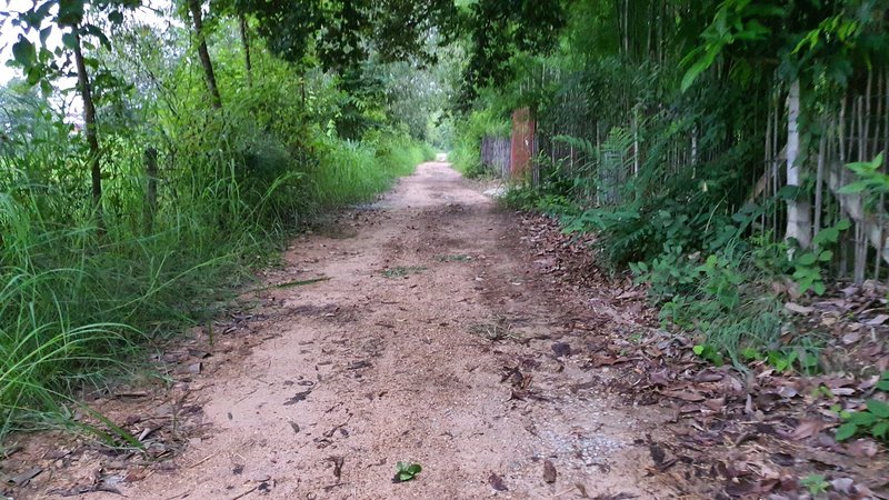 Doubletrack in front of the temple.