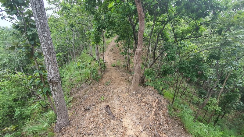 Ridge trail in the Nam Phrae backcountry.