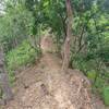 Ridge trail in the Nam Phrae backcountry.