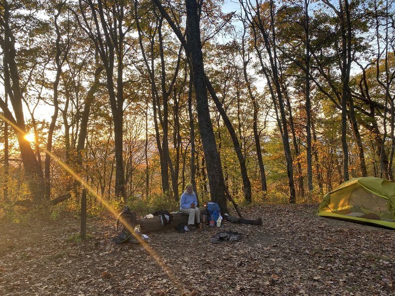 Campsite at Newton's Bald.