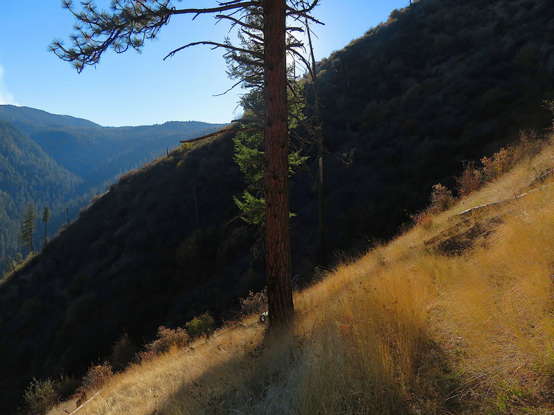 A fall afternoon on the Castle Creek Trail.