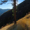 A fall afternoon on the Castle Creek Trail.