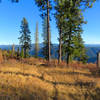 Near the top of the Castle Creek Trail you are greeted with spectacular views of the surrounding mountains.