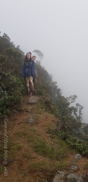 Ridgeline near the top of Kirigalpoththa in Horton Plains.