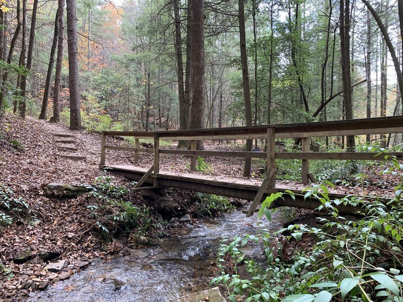 Walking Bridge - Angel Falls