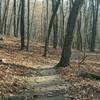 Great wooded sections of the Cedar Lakes Segment.