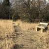 Rest bench on the Redbud Valley Main Trail.