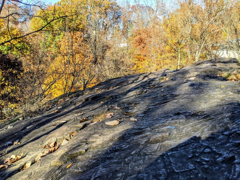 Turtle Back Rock is just off the north end of the interpretive trail.