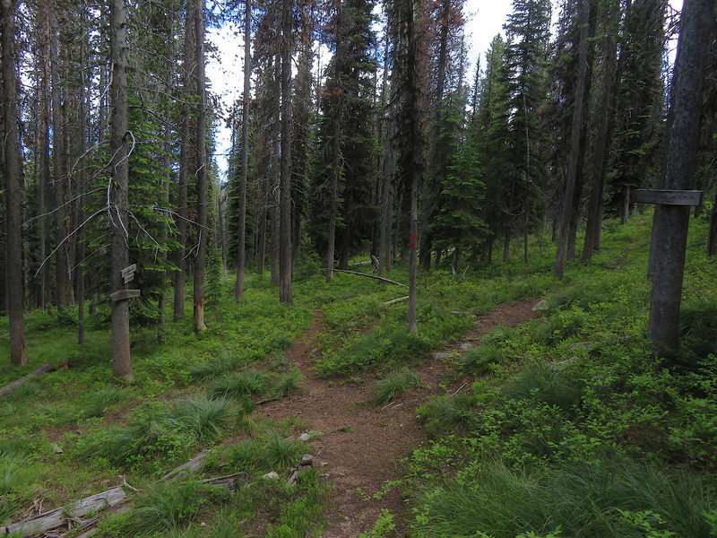 The four way junction with Driveway Extension Trail #881, Lost Lake Trail 804, and Twentymile Lake Trail #806