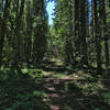 The Driveway Extension Trail has not been maintained for many years between Twentymile Creek Trail #414 and Tenmile Creek.