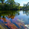 Swimming hole "Caño Cristales" by szeke is licensed under CC BY-SA 2.0