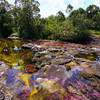 Showing off the colors of the river "Caño Cristales" by szeke is licensed under CC BY-SA 2.0