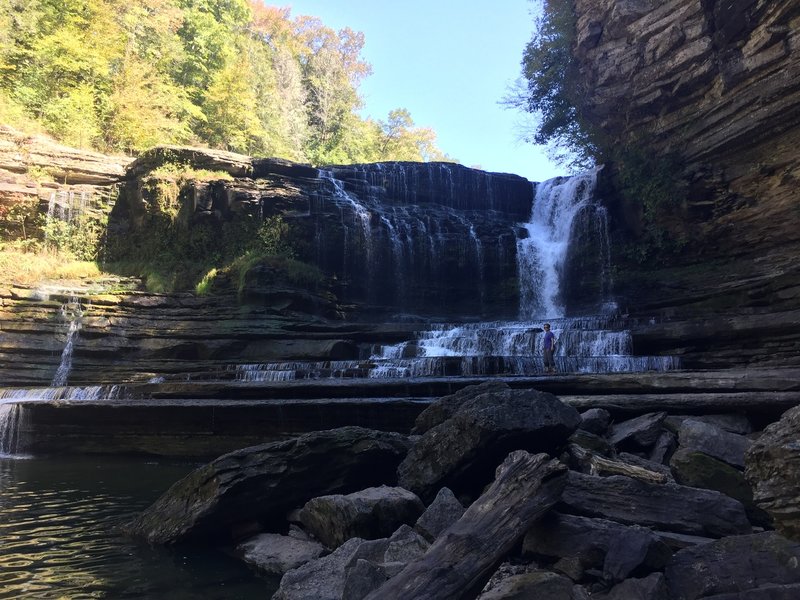 This is from the Cummins Creek Trail.