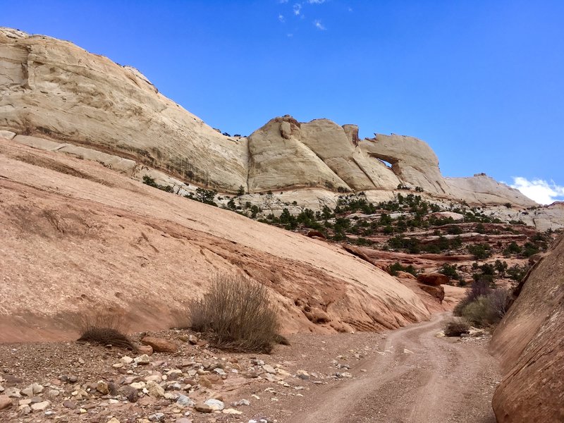 This is one of the few arches on the East side of the canyon. The arch can be seen from the Burr trail road as well.