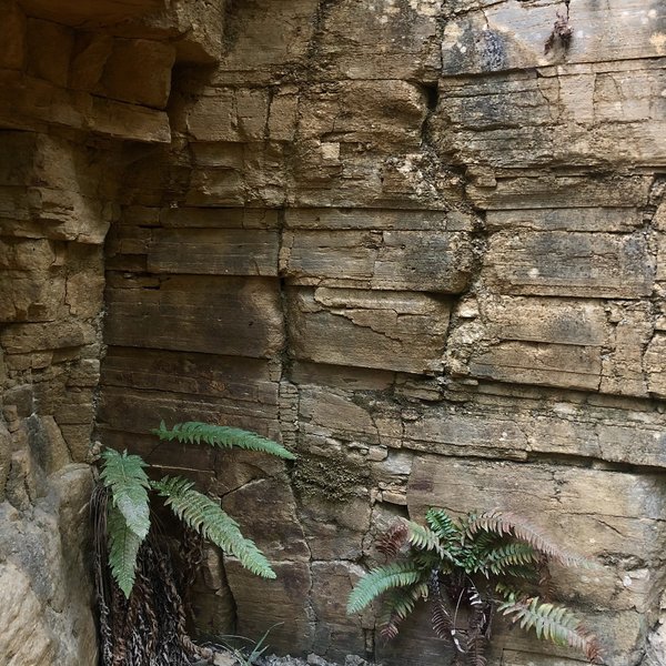 Outcrop of Gordenker Quarry.