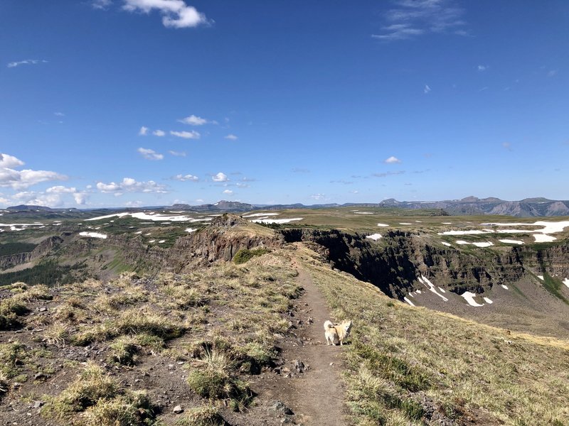 Approaching the Devil's Causeway