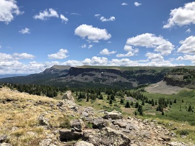 White River National Forest - Chinese Wall #1803