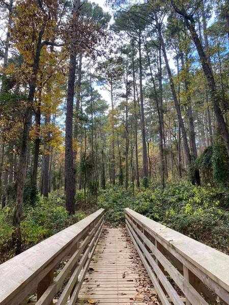 Bridge on the Whispering Pines Trail at Tyler State Park.