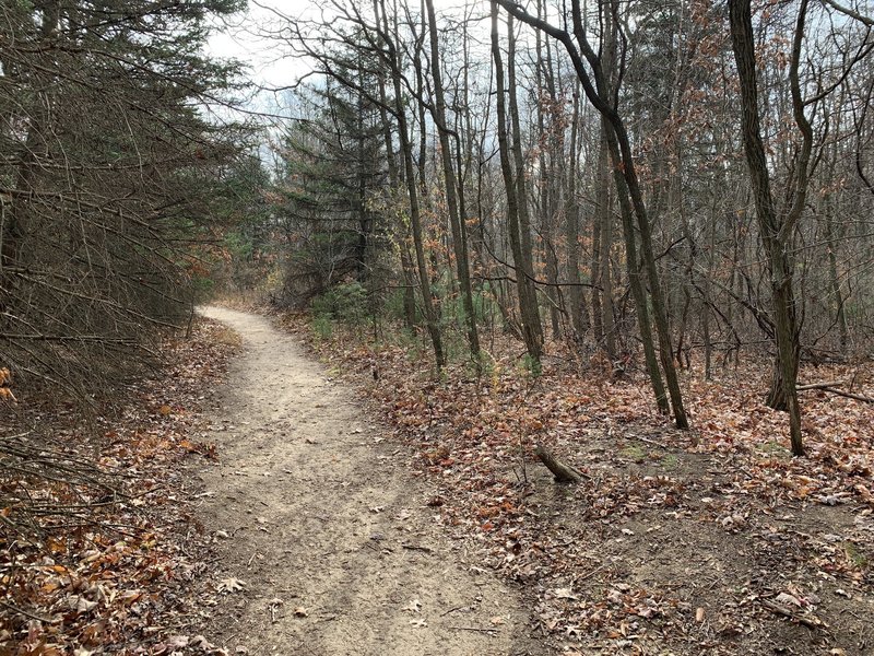 Nice wide trail.