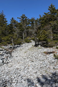 The white rocks that make bald mountain "bald".