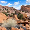 Although the surrounding terrain seems to all be from a similar rock, the colors are surprisingly varied.