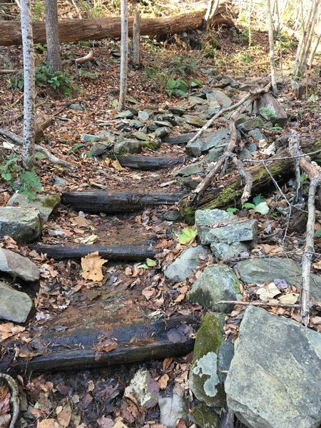 Stairs to Big Branch Falls - be warned, these peter out and there's some muddy slip-and-fall risk after this!