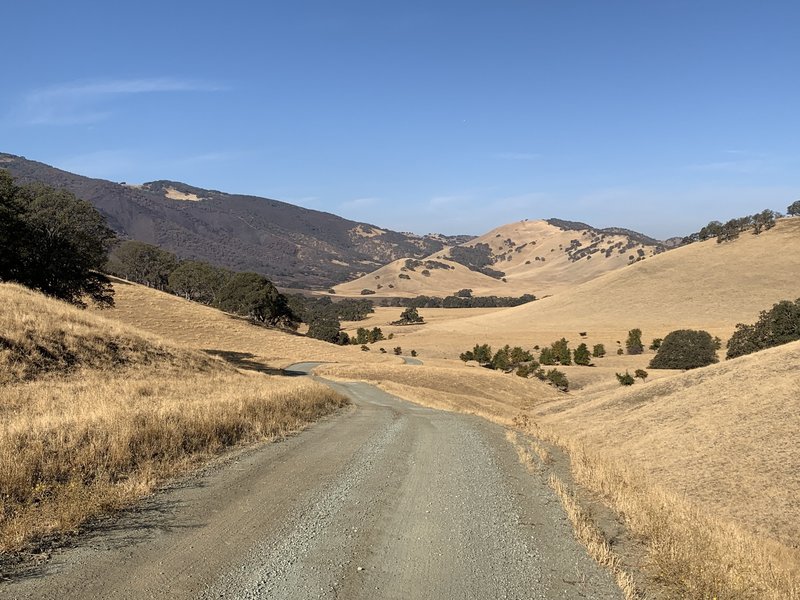 Looking towards Round Valley Regional Preserve from the Oak Savannah Trail.