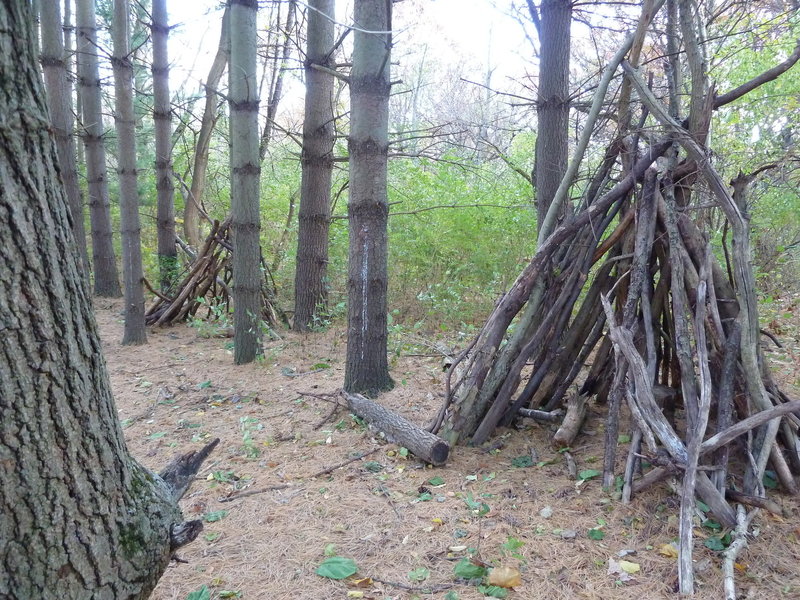 Wood Forts