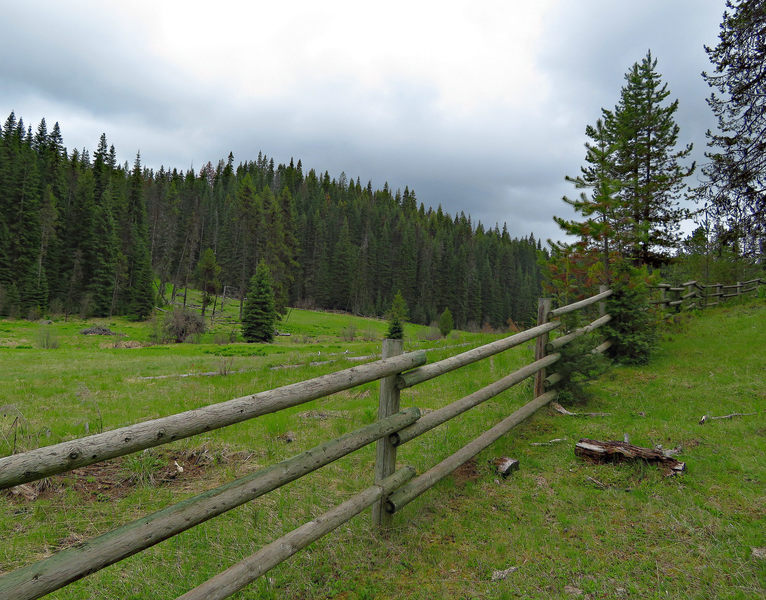 The fence at Buck Meadows.