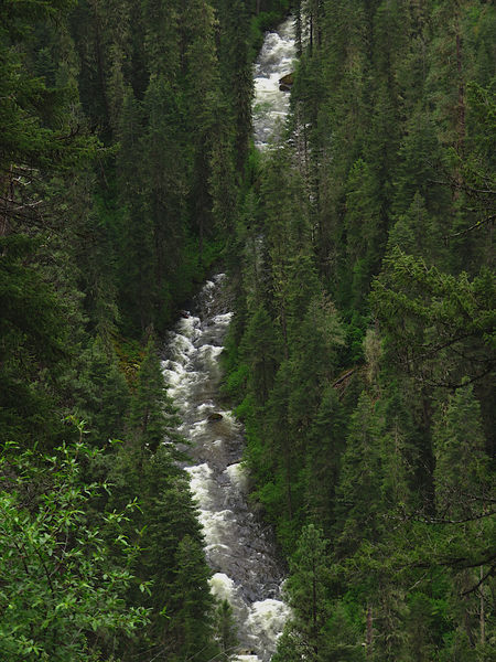 Johns Creek flows through a heavily forested canyon.