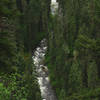 Johns Creek flows through a heavily forested canyon.