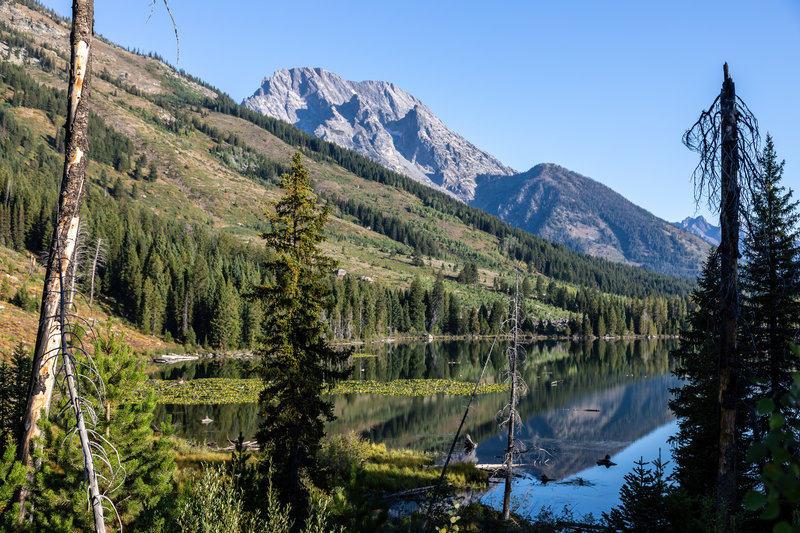 String Lake during blue hour with Mount Moran rising in the background