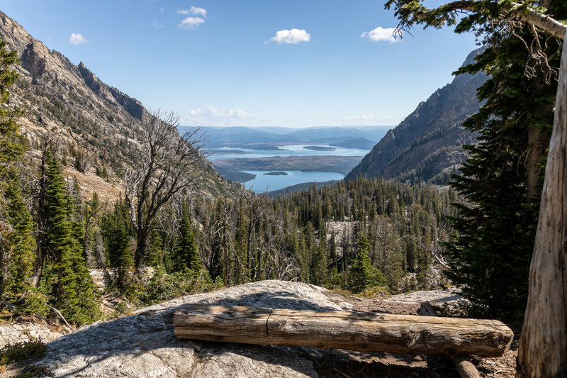 Leigh Lake and Jackson Lake from the Holly Lake camp site