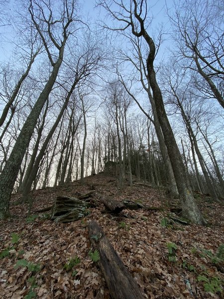 Looking up towards Smith's Knob.