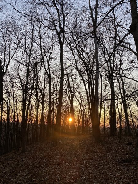 End of a beautiful Fall trail run on the Loyalsock Trail.