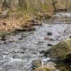 This stream of running water starts at the Orange Reservoir and runs along the Turtleback Loop.