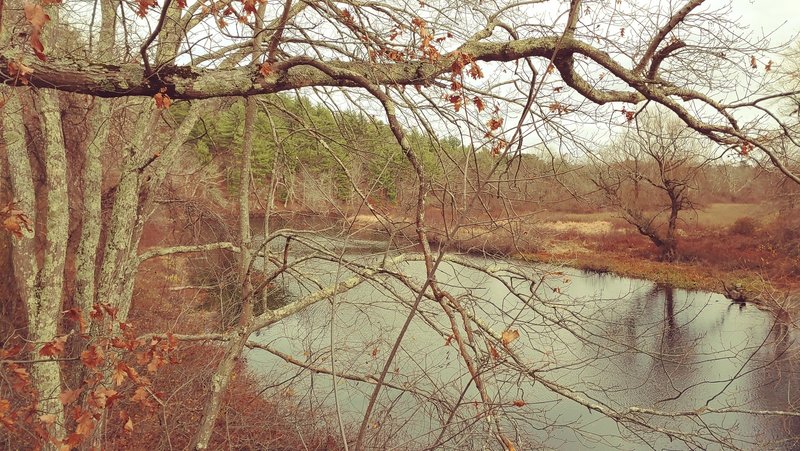 Charles River