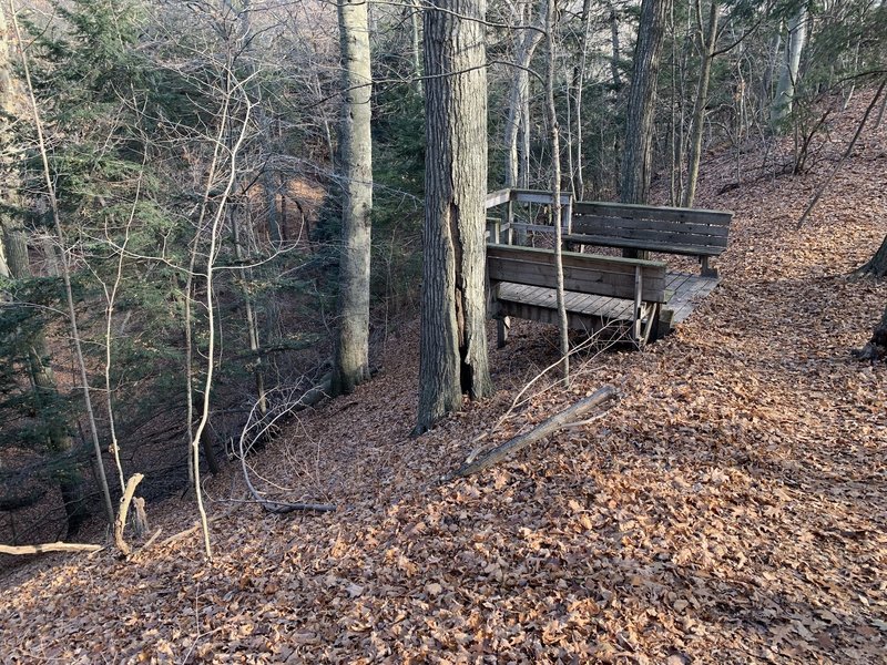 Deck overlooking a ravine.