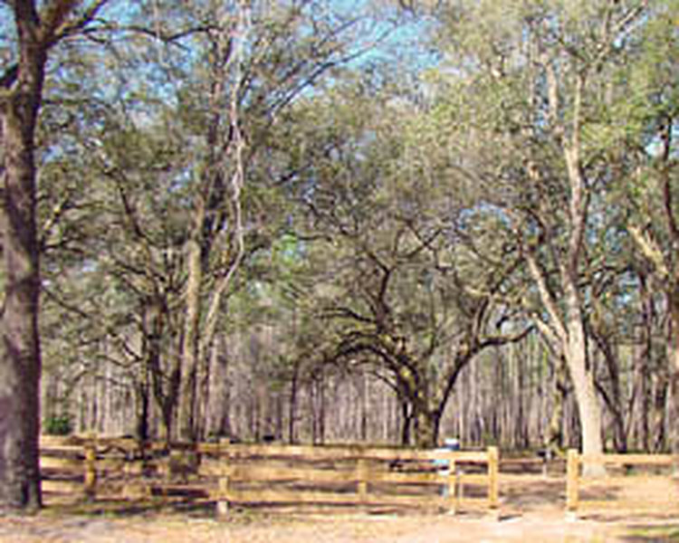 Coot's Shanty Recreation Area - Homesteaders Hollow Trailhead/Parking