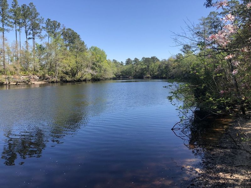 St Mary's River on Ralph E Simmons Memorial State Forest